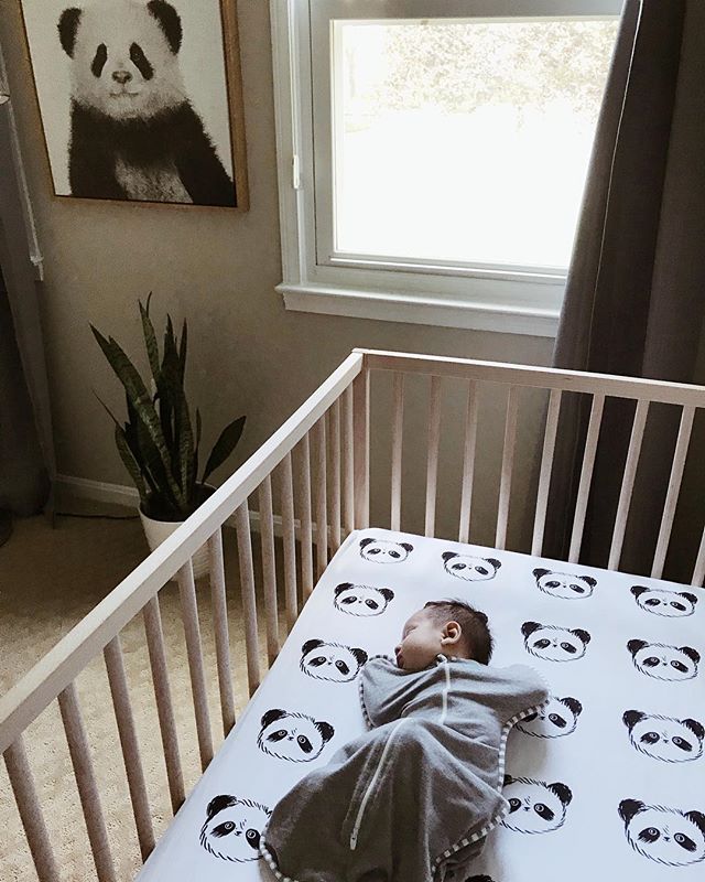 Rainy Sundays are for snuggling and catching up on sleep. #newbornlife #aloyalloveofbrantley #aloyallovehouse